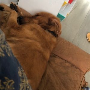 Meet your Posher, Andrew